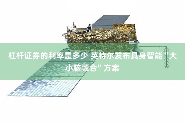 杠杆证券的利率是多少 英特尔发布具身智能“大小脑融合”方案