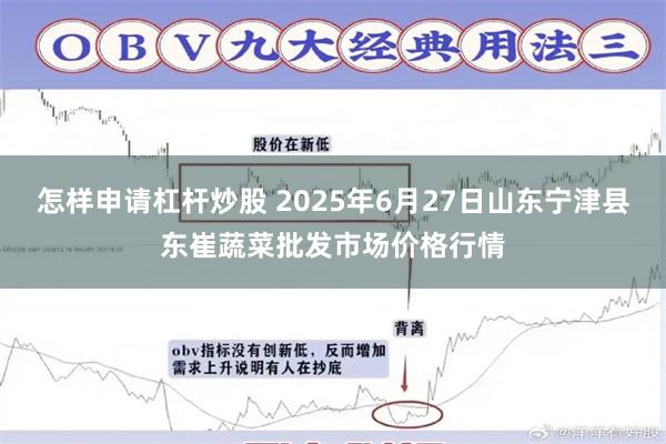 怎样申请杠杆炒股 2025年6月27日山东宁津县东崔蔬菜批发市场价格行情