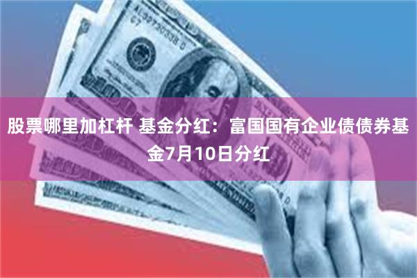 股票哪里加杠杆 基金分红：富国国有企业债债券基金7月10日分红