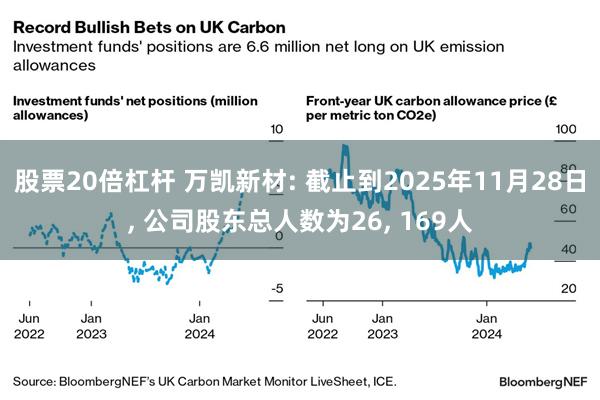 股票20倍杠杆 万凯新材: 截止到2025年11月28日, 公司股东总人数为26, 169人